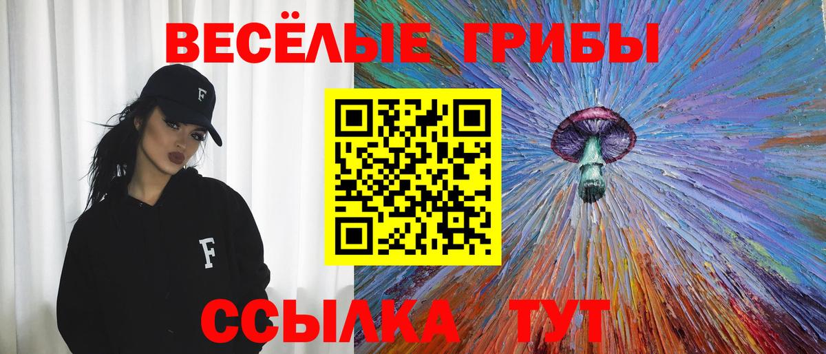 Псилоцибиновые грибы Psilocybe Сочи